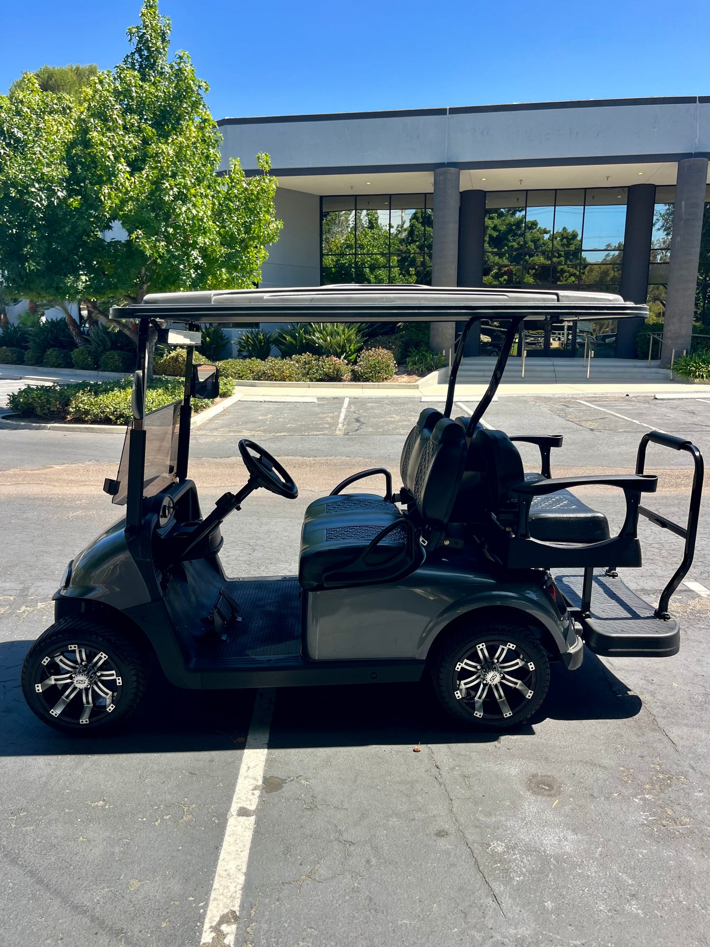 2010 EZGO RXV ELITE