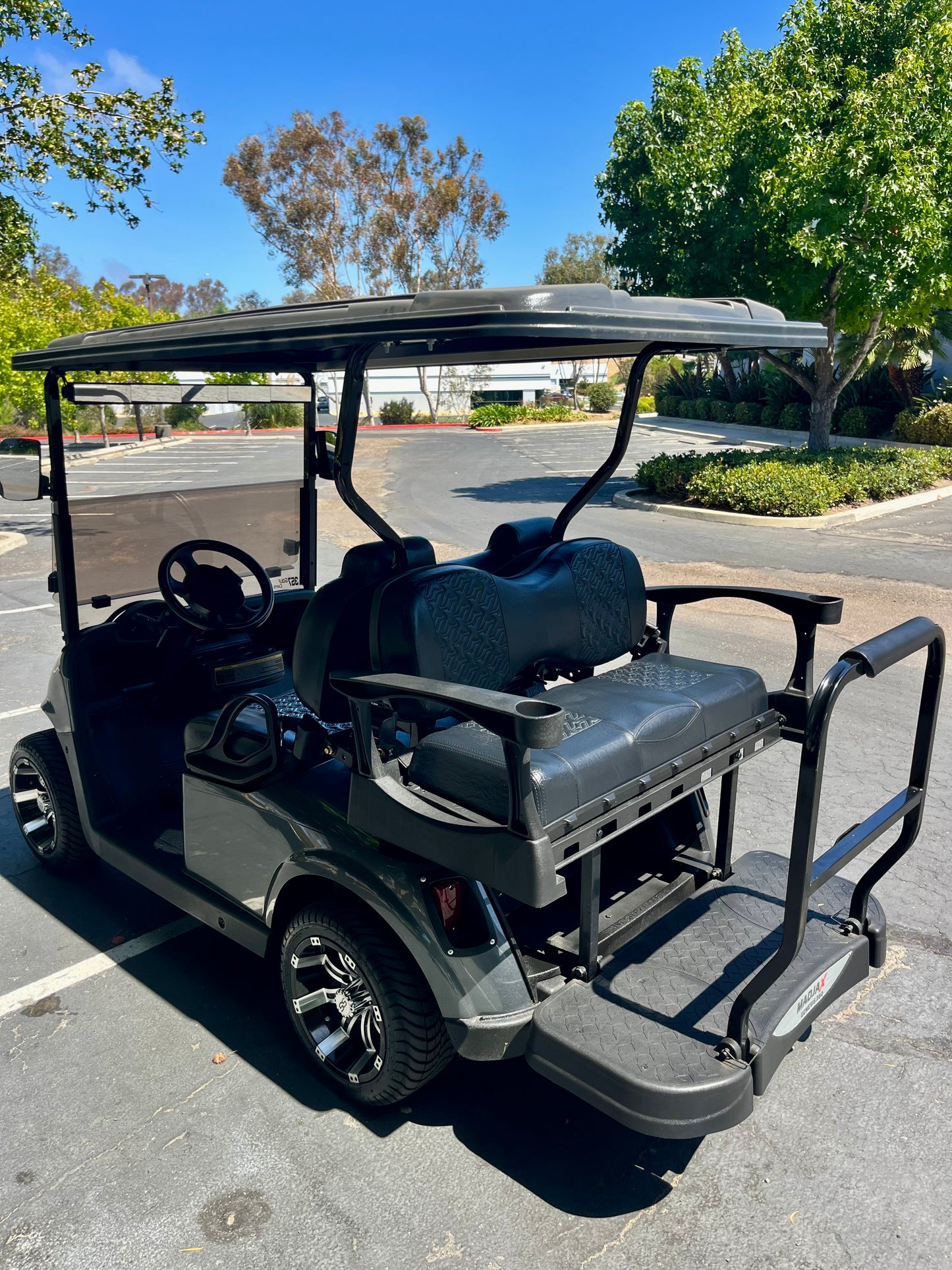 2010 EZGO RXV ELITE