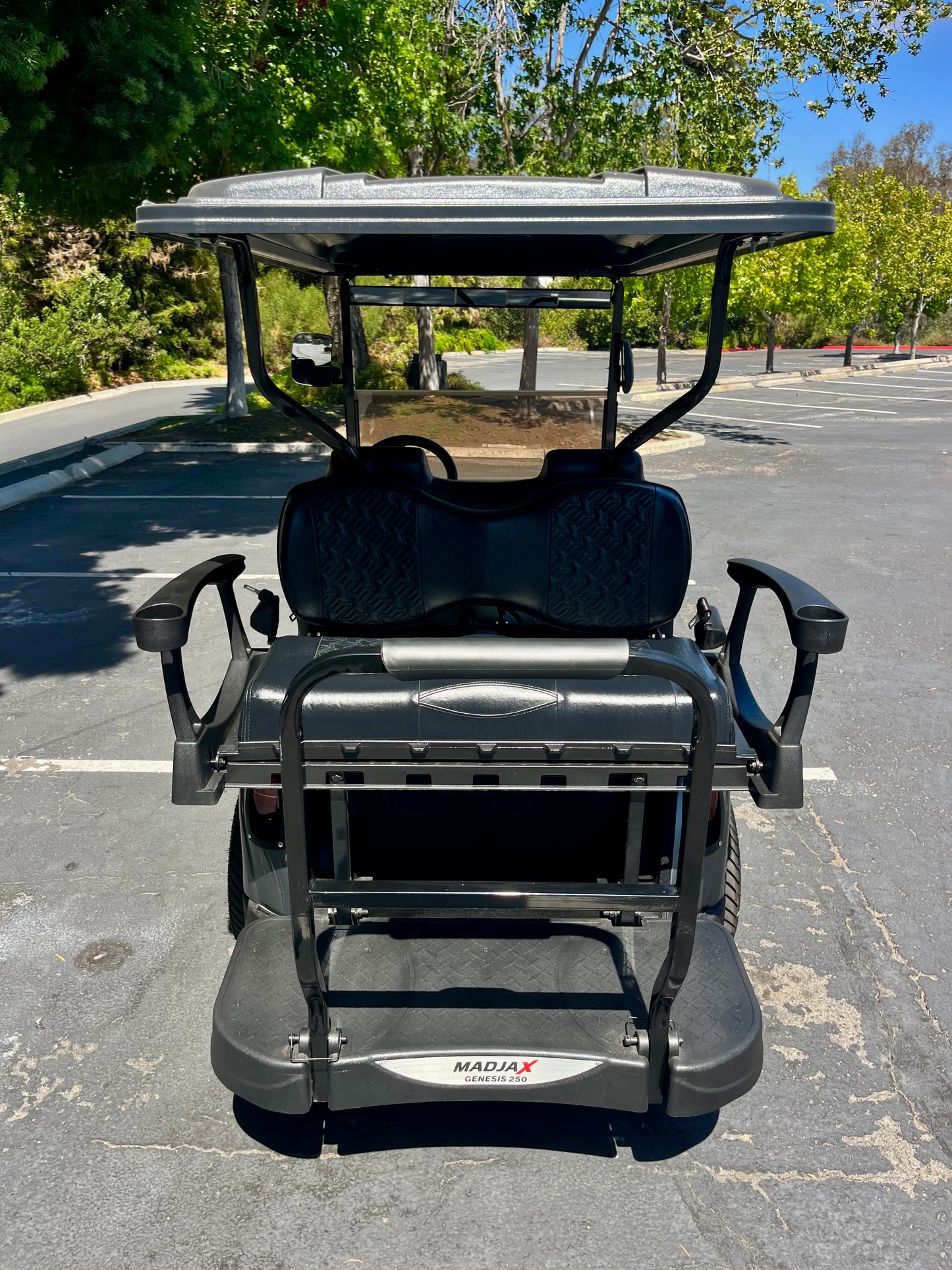 2010 EZGO RXV ELITE