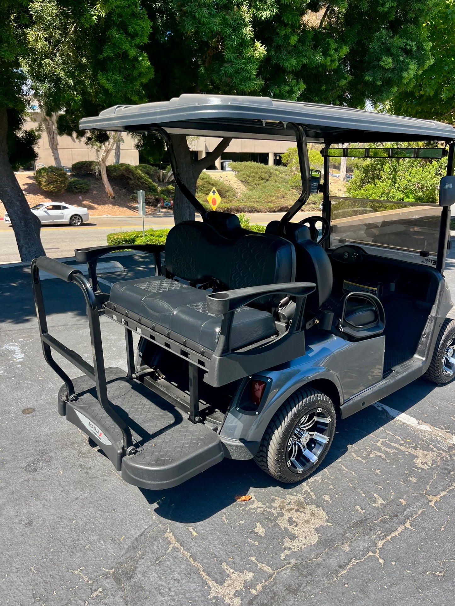 2010 EZGO RXV ELITE