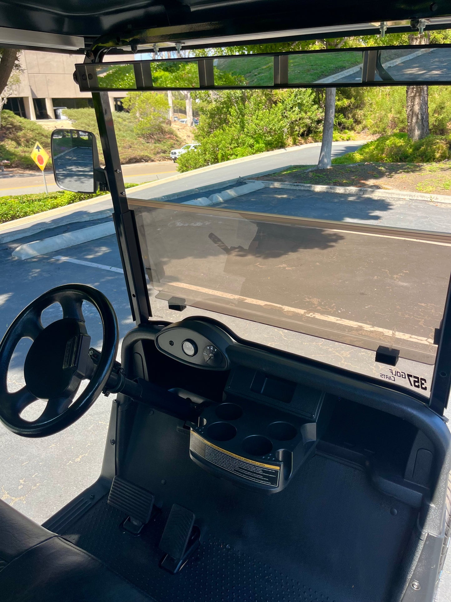 2010 EZGO RXV ELITE