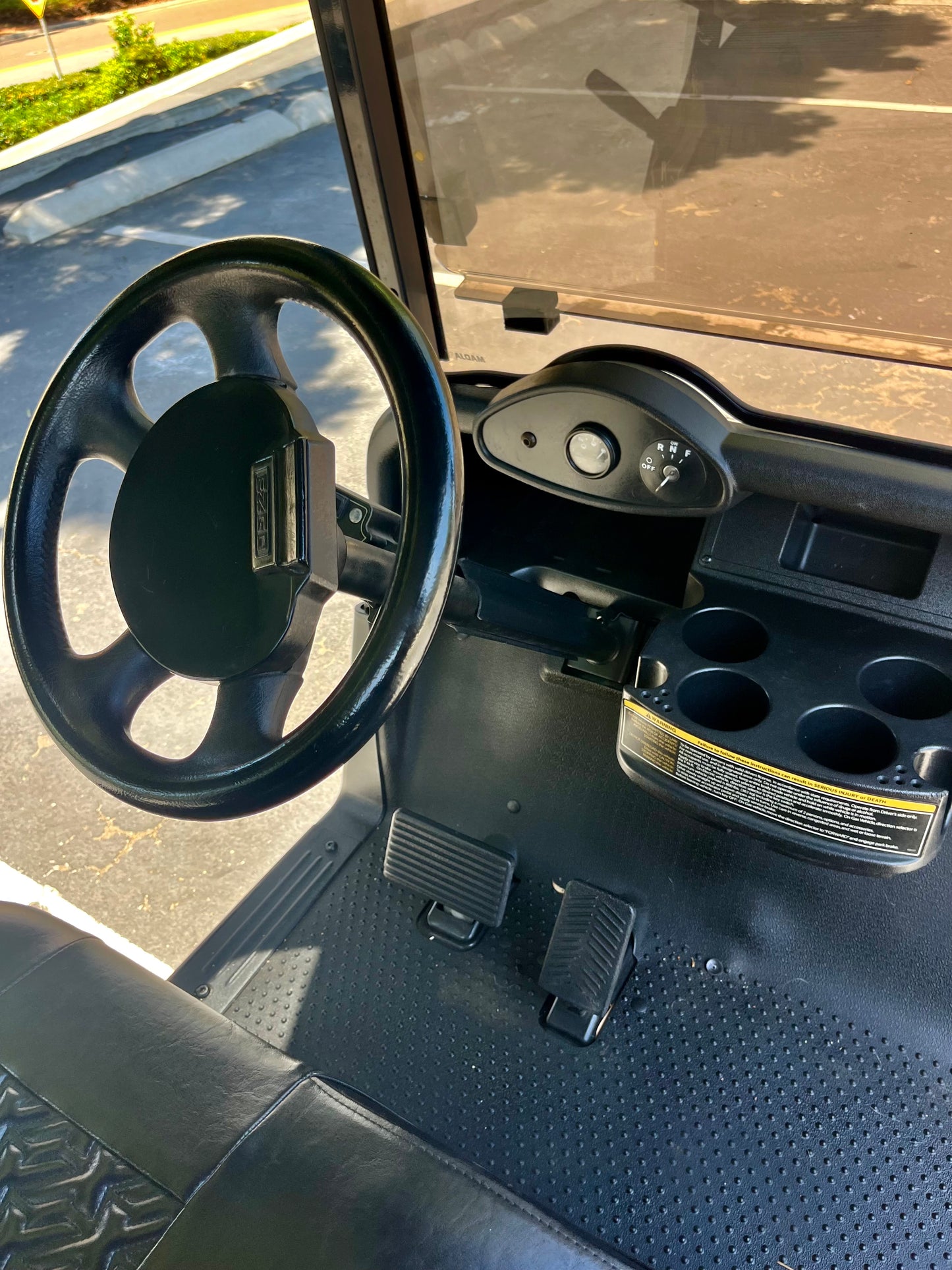 2010 EZGO RXV ELITE