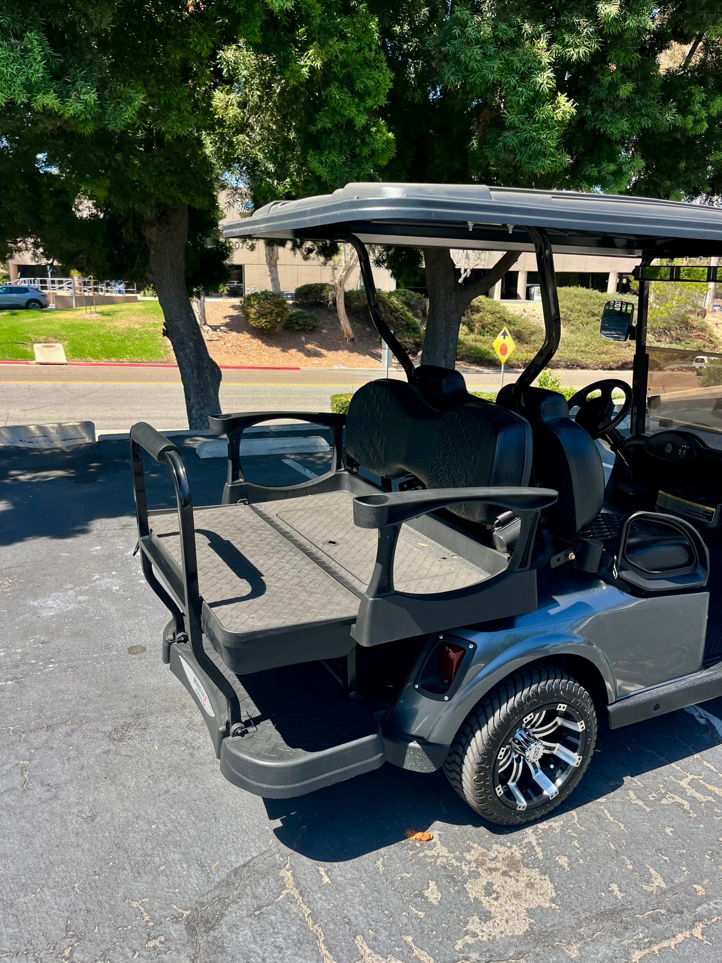 2010 EZGO RXV ELITE