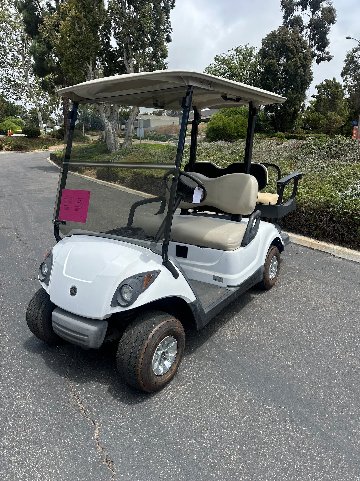 Yamaha G29